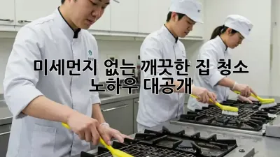미세먼지 없는 깨끗한 집, 청소 노하우 대공개!